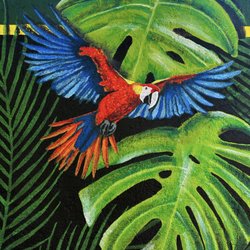 Amer Mural Art - Brilliantly colored flying parrot on wall mural. Mural Art in Phoenix