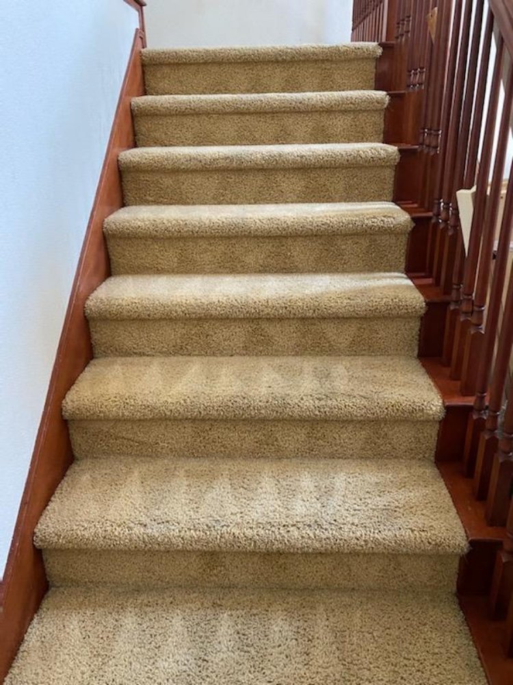 RAILEY’S CARPET CARE Updated May 2024 20 Photos Brentwood