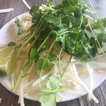 Oasis Vietnamese Cuisine - Vegi - Vietnamese Near Me - Pacifica, California Oasis Vietnamese Cuisine - Vegi - Vietnamese Near Me - Pacifica, California