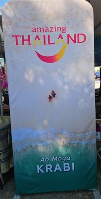 Thai Festival Chicago by null