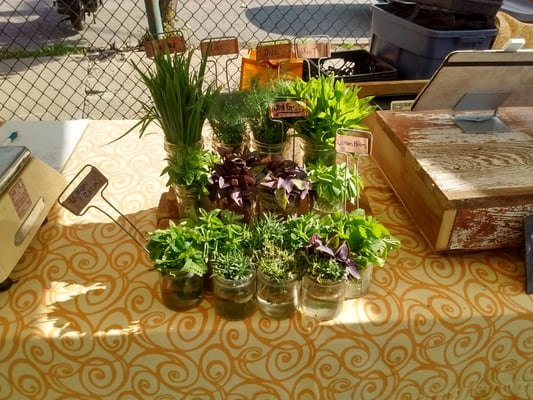Brookside Farmer's Market by null