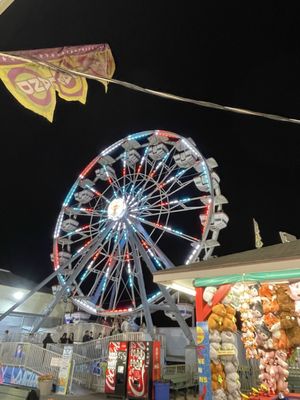 Palace Playland by null