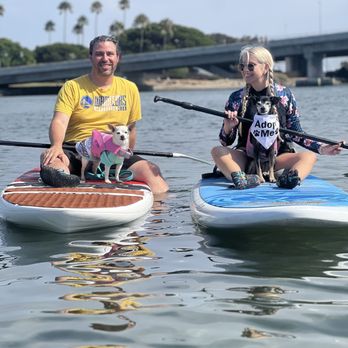 SUP Pups - Paddleboarding Near Me - San Diego, California SUP Pups - Paddleboarding Near Me - San Diego, California