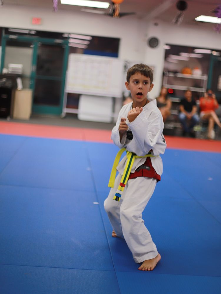 White Tiger Taekwondo Academy Logo