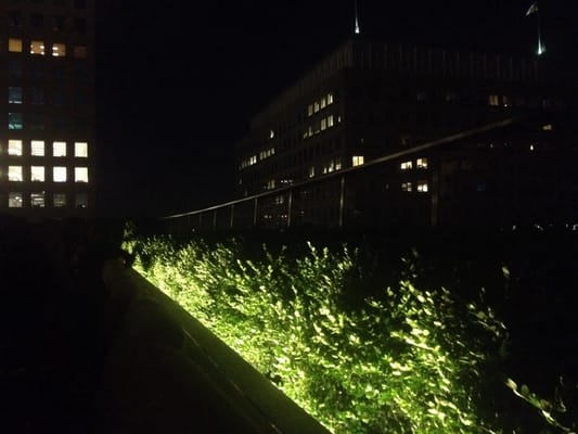 Loopy Doopy Rooftop Bar by null