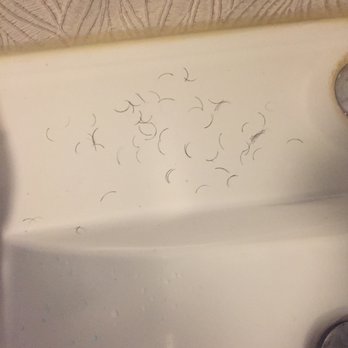 BX Lashes - What a waste of money.... - Eyelash Service Near Me - Reseda, California
