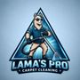 Lamas Pro Carpet Cleaning