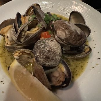 The Sawtooth Club - Fresh Steamer Clams - American Near Me - Ketchum, Idaho The Sawtooth Club - Fresh Steamer Clams - American Near Me - Ketchum, Idaho