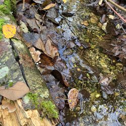 Crystal Falls - Trailhead