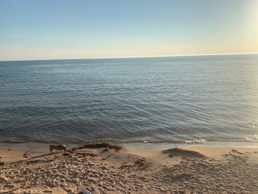 Ludington State Park Beach by null