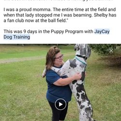 JAY CAY DOG SERVICES