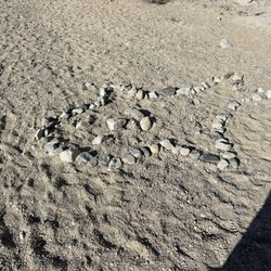 Mecca Hills Wilderness - Rare desert rock fish.