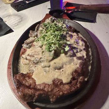 Pilon Miami - Ribeye Steak with Mushroom and Champagne Sauce - Latin American Near Me - Miami, Florida
