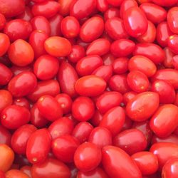 Fairfield Tomato Festival - Cherry tomatoes ($4.00/lb)