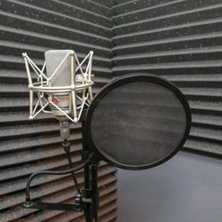 Recording mic