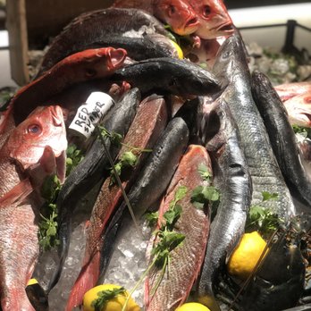 Astra - Beautiful selection of fresh fish. NICE SIZES TOO!! - Mediterranean Near Me - Miami, Florida Astra - Beautiful selection of fresh fish. NICE SIZES TOO!! - Mediterranean Near Me - Miami, Florida