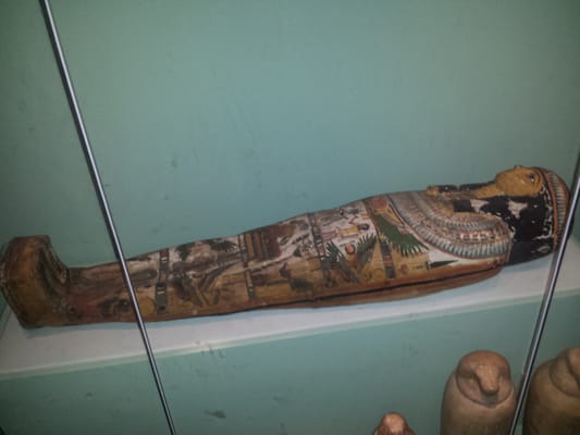 Brighton Museum & Art Gallery by null