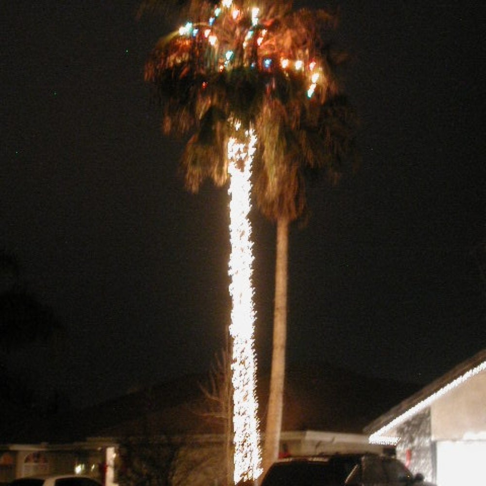 St James Construction - California Christmas tree - General Contractors Near Me - Hanford, California