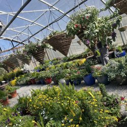 Wilson's Nursery & Garden Center