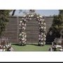 Photo of Stellar Blooms & Balloons
