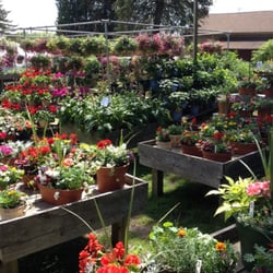 Edmondson's Farm Gift Shop & Florist