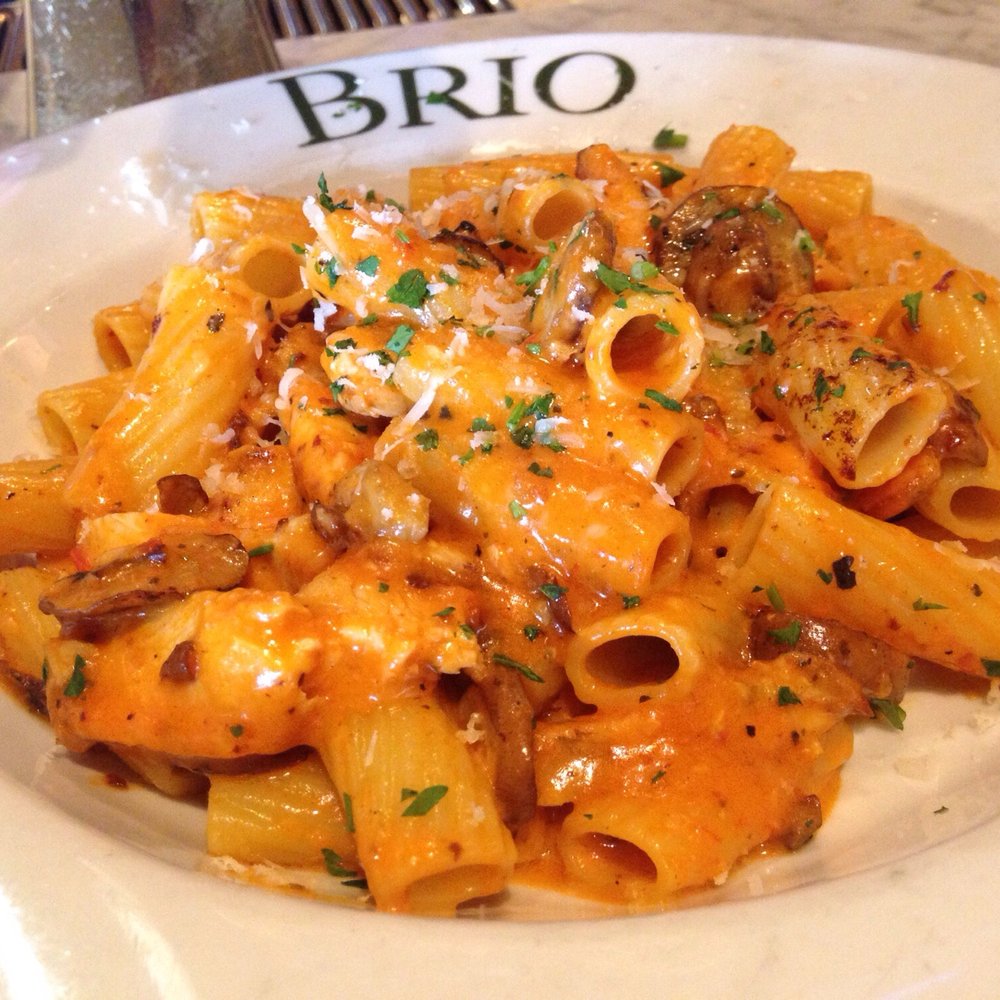Brio Italian Grille - The Brio Pasta, very good - Italian Near Me - Newark, Delaware