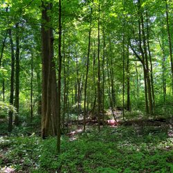 Cudahy Nature Preserve