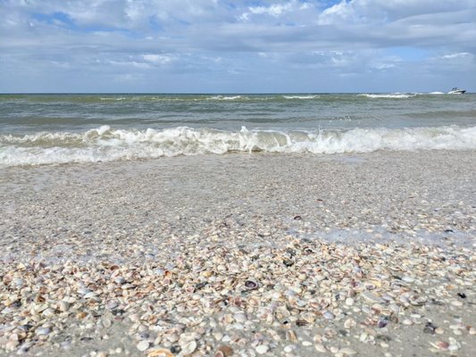 Caladesi Island State Park by null