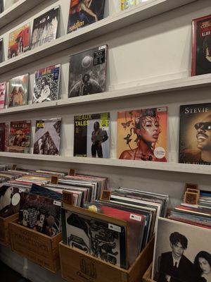 Spinster Records by null