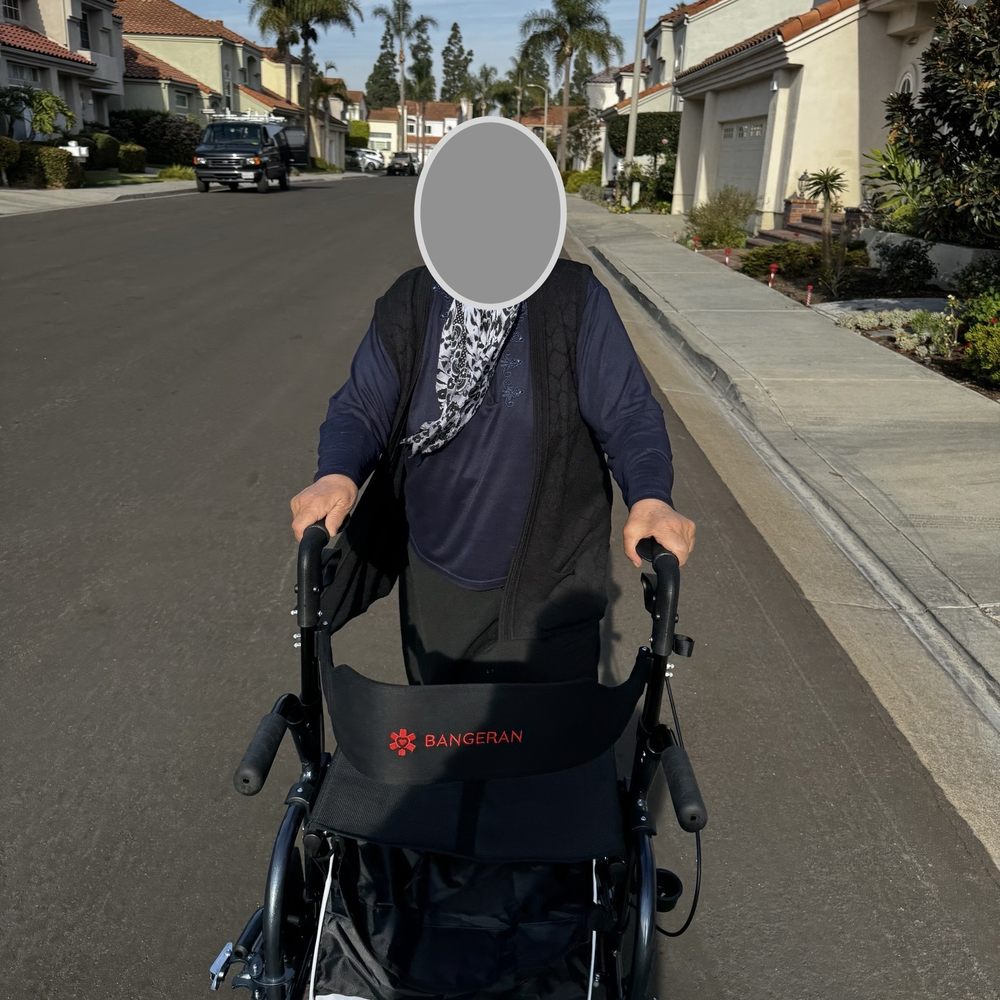 Bangeran - Rolling Walker - Mobility Equipment Sales & Services Near Me - Lake Forest, California
