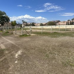 Gala Stud Ranch