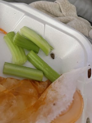 Pizzarella Italian Restaurant by null