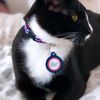 Trusty Tails Pet Care gift card