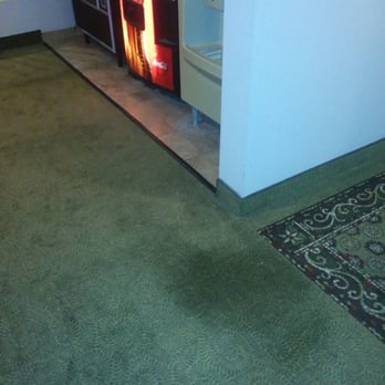 Best Western Timpanogos Inn - If your into hot brown stain on carpet action, you've found the right place! - Hotels Near Me - Lehi, Utah Best Western Timpanogos Inn - If your into hot brown stain on carpet action, you've found the right place! - Hotels Near Me - Lehi, Utah