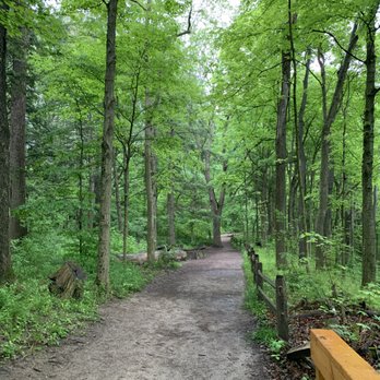 Eagle Creek Park - Dense forest - Parks Near Me - Indianapolis, Indiana Eagle Creek Park - Dense forest - Parks Near Me - Indianapolis, Indiana