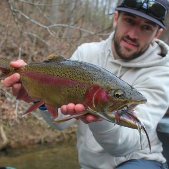 Ellis Ward Guide Service - Fishing Near Me - Johnson City, Tennessee Ellis Ward Guide Service - Fishing Near Me - Johnson City, Tennessee