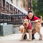 Photo of Hound Around Dog Walkers
