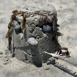 Oceanside Harbor - Sand person