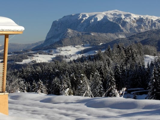 Hotel Pfösl by null