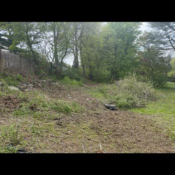 BTJ Demo - Tree and brush removal - Demolition Services Near Me BTJ Demo - Tree and brush removal - Demolition Services Near Me