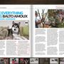 Photo of Enchanted Dreams Alaskan Malamutes