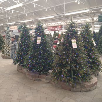 Hicks Nurseries - Artificial Trees all over $599.00. that's not too bad. - Nurseries & Gardening Near Me - Westbury, New York