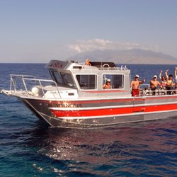 Dive & Sea Maui