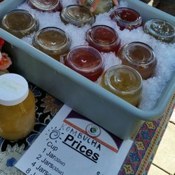 Edible Alchemy - Kombucha