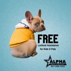 Alpha Towing and Recovery - Don't leave your loved ones locked inside of a car, call Alpha! 
We offer free lockout and roadside assistance for kids and pets!