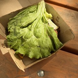 McDonald's - Burger with the consequences of incompetence of these workers