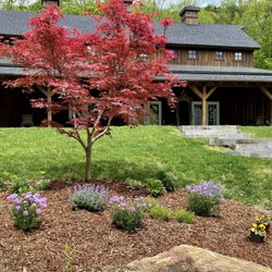 Maple Hill Nursery & Green Houses - Japanese Maple Rock Garden
