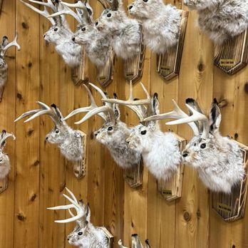 Wall Drug Store - Bunnies - Drugstores Near Me - Wall, South Dakota Wall Drug Store - Bunnies - Drugstores Near Me - Wall, South Dakota