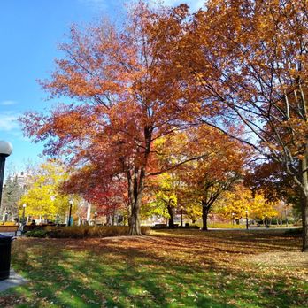 Confederation Park - So pretty in the fall. - Parks Near Me - Ottawa, Ontario