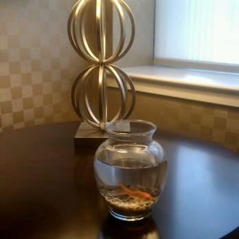 Kimpton Hotel Monaco Baltimore Inner Harbor - They put a goldfish in our room. - Hotels Near Me - Baltimore, Maryland Kimpton Hotel Monaco Baltimore Inner Harbor - They put a goldfish in our room. - Hotels Near Me - Baltimore, Maryland